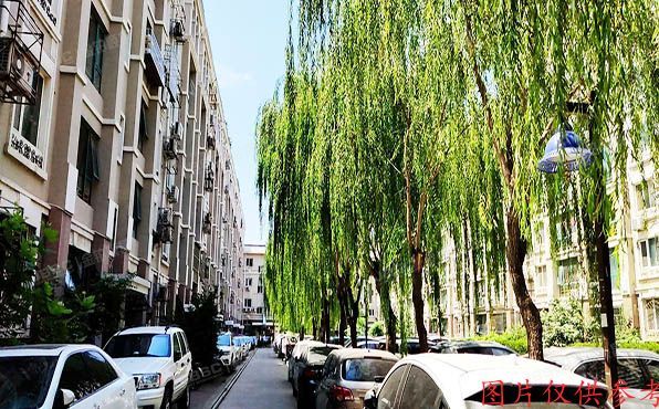 昌平区-北七家镇 天通东苑三区53号楼4层5单元2号