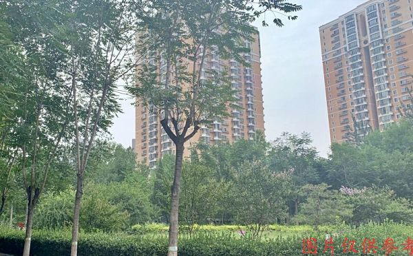 朝阳区 东三环南路54号院12号楼1303号（华腾园）