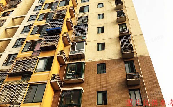 朝阳区 金蝉南里6号楼5层509