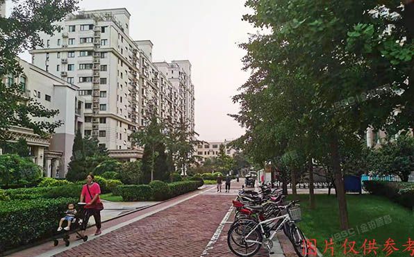 朝阳区 朝阳北路107号院43楼6层603（珠江罗马嘉园）