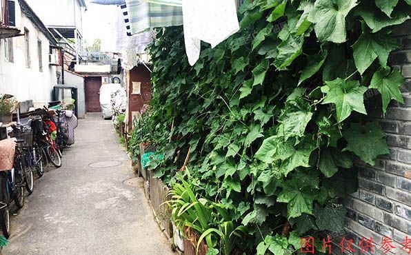 东城区 方砖厂胡同45号3幢1层