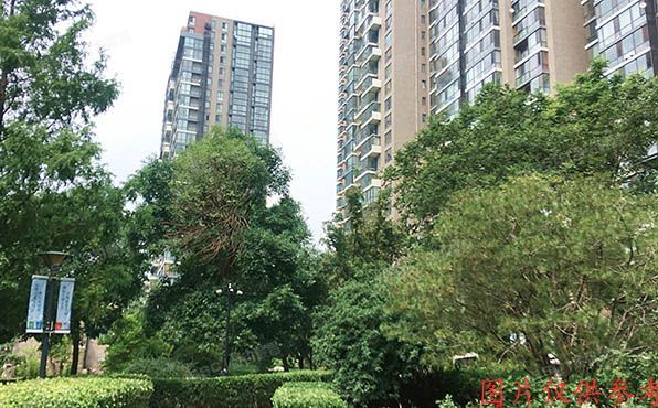 朝阳区 东四环北路88号6号楼3层2单元301（国兴观湖国际）