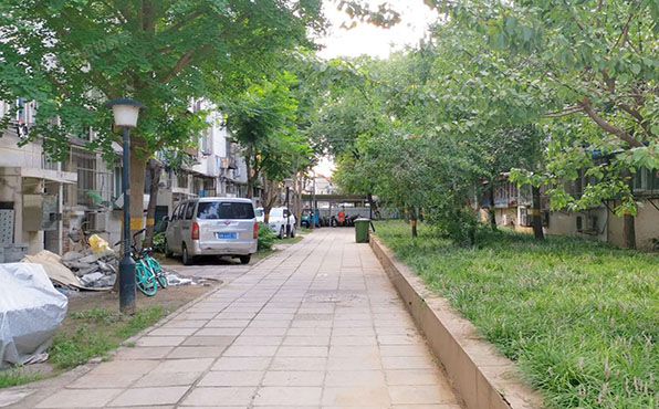 海淀区 西苑南一院6号楼1单元5号 央产房