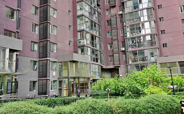 通州区 梨园西里29号楼25层1单元3101号（新通国际花园）