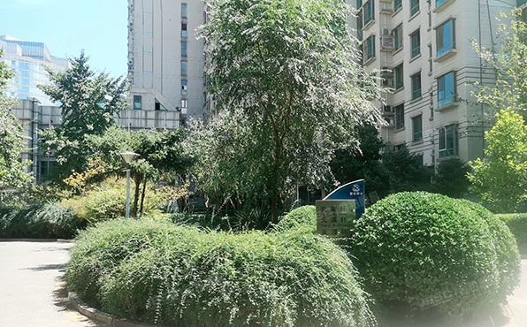 海淀区 笑祖塔院天兆家园1号楼5层5单元502号