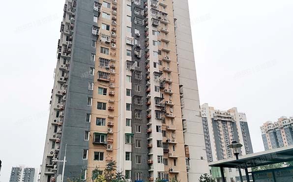 朝阳区  康惠园2号院4号楼15层1502号