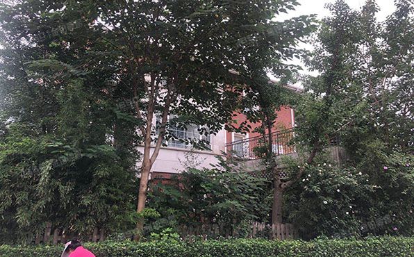 海淀区  闵庄路南侧玉树临枫锦园6区9号楼-1至3层1D（御墅临枫） 别墅