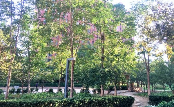 丰台区 马家堡东路101号院1号楼4层3单元501室（阳光花园）