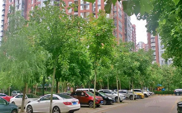 朝阳区 明天第一城4号楼7层3单元806 办公