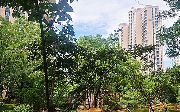 通州区 翠景北里34号楼26层2单元2603（玉兰湾）