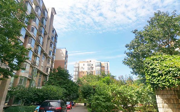 朝阳区 将府家园北里122号楼2层5-203号（卡布其诺）