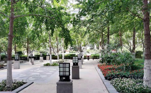 朝阳区 白家庄路一号院1号楼9层C-1002（爱丁堡公馆）