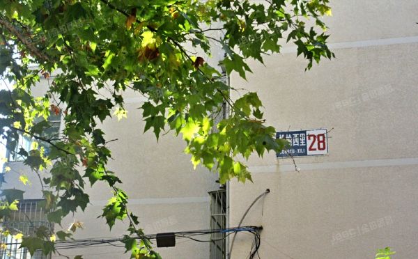 朝阳区 松榆西里28号楼7单元602号