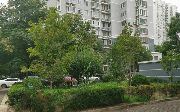 朝阳区 南湖西园124号楼4层404（银领国际）