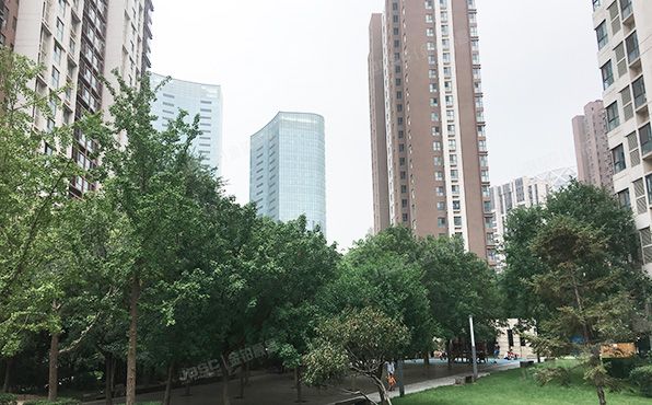 朝阳区 望京东园五区503号楼21层1单元2502（融科橄榄城）