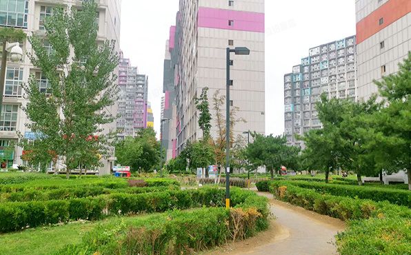 朝阳区 五里桥二街1号院2号楼1层0129号（中弘像素北区）办公