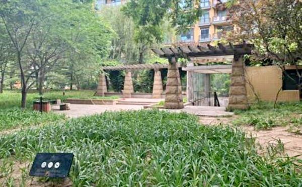 朝阳区 周庄山水文园4号楼6层8单元602（山水文园）