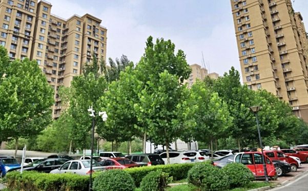 朝阳区 东坝驹子房435号楼1层1单元104号（华瀚福园D区）