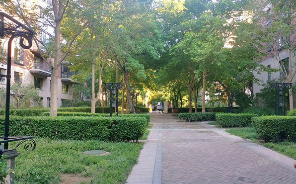 朝阳区 东四环北路6号二区10号楼8层3单元0902（阳光上东）