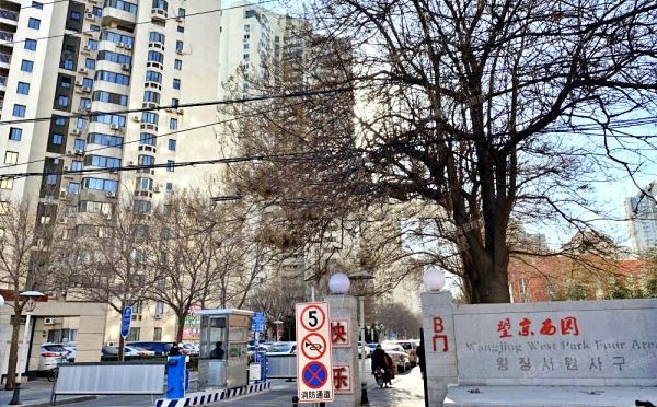 朝阳区 望京西园427号楼15层1511（望京西园4区）