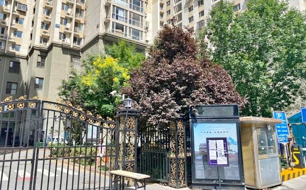 朝阳区 弘善家园106号楼9层907（弘善家园E区）