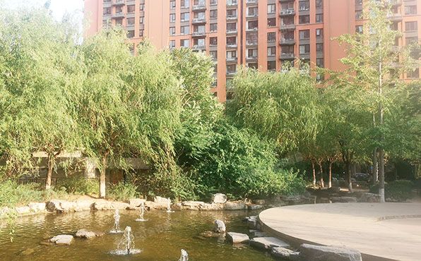 大兴区 枣园东巷3号院5号楼8层806（红木林南区）