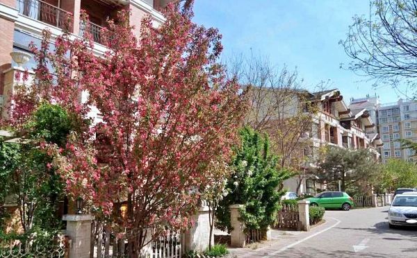 通州区 潞苑南里1号39号楼1至2层2单元101号（珠江国际城）