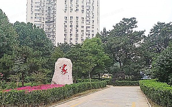 朝阳区 望京西园427号楼15层1511（望京西园4区）