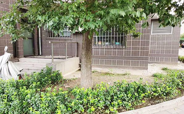 朝阳区 利泽园三区311号楼1层4单元101（上京新航线）