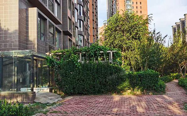 朝阳区 利泽园三区311号楼1层4单元101（上京新航线）