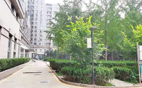 朝阳区 吉庆里11号楼6层11单元601号