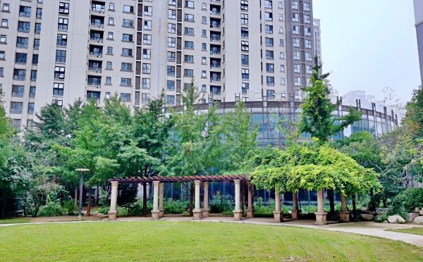 通州区 临河里7号楼3层2单元304号（华业东方玫瑰）