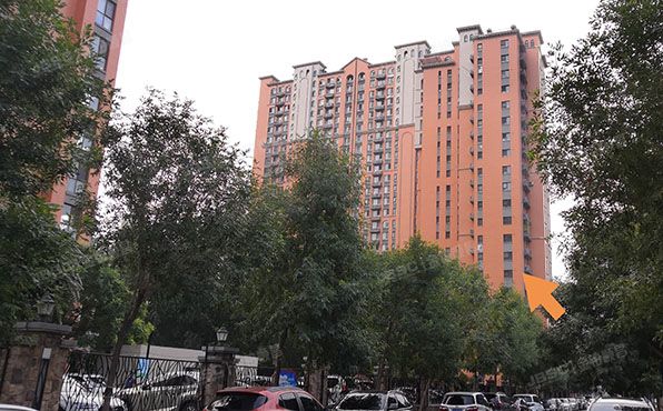 大兴区 枣园东巷3号院5号楼8层806（红木林南区）