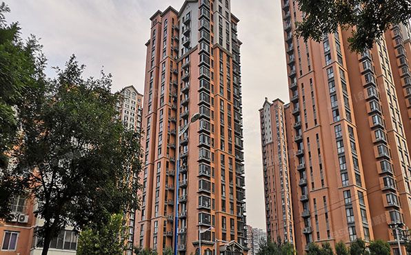 大兴区 枣园东巷3号院5号楼8层806（红木林南区）