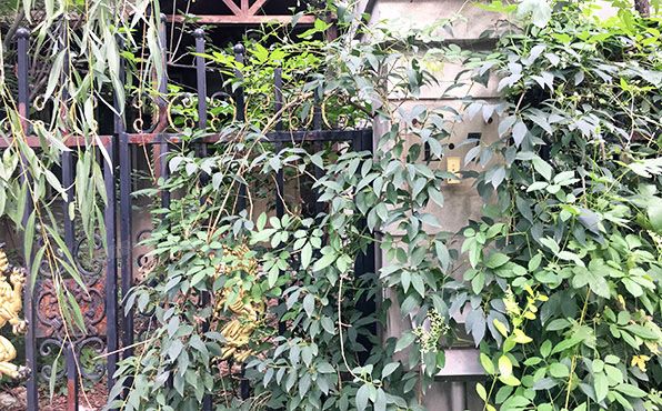 昌平区-北七家镇 蓬莱别墅L区7号（蓬莱苑）