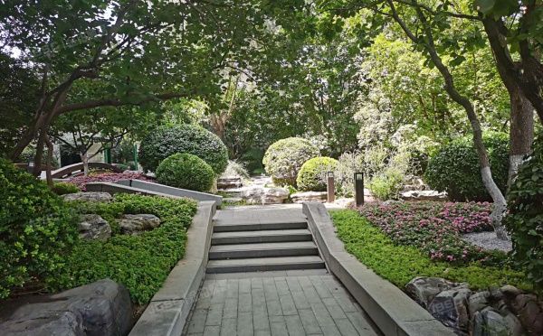 朝阳区 天力街19号院5号楼9层1单元1001号（富力十号）