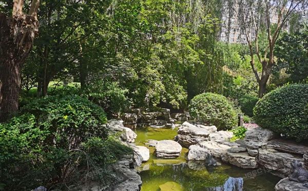 朝阳区 天力街19号院5号楼9层1单元1001号（富力十号）