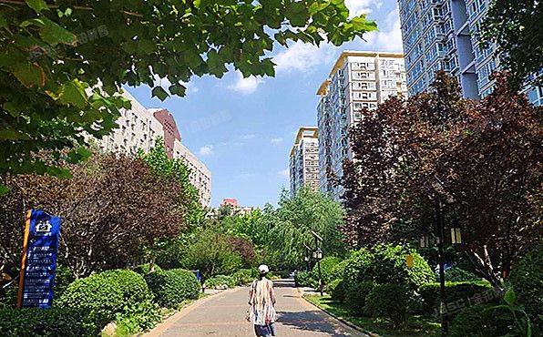 海淀区 交通大学路1号院3号楼12层1211（交大嘉园）