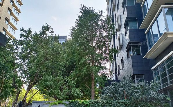 东城区 东直门内大街9号院2号楼1001室和1002室（NAGA上院）