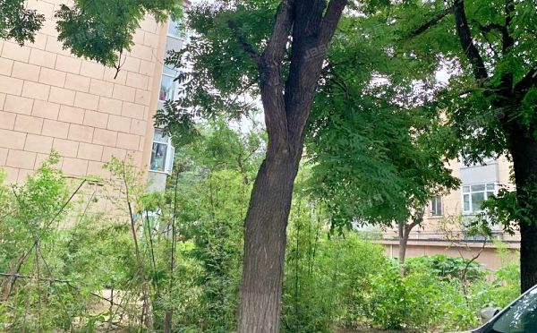 朝阳区 北苑1号院403楼2门9号