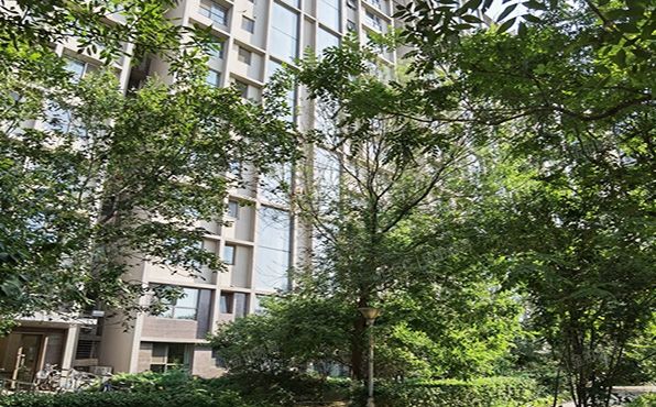 朝阳区  常营中路12号楼8层1单元901号（万象新天三区）