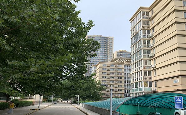 朝阳区   拂林园10号楼15至16层1502号