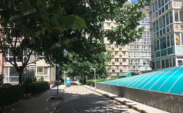 朝阳区   拂林园10号楼15至16层1502号