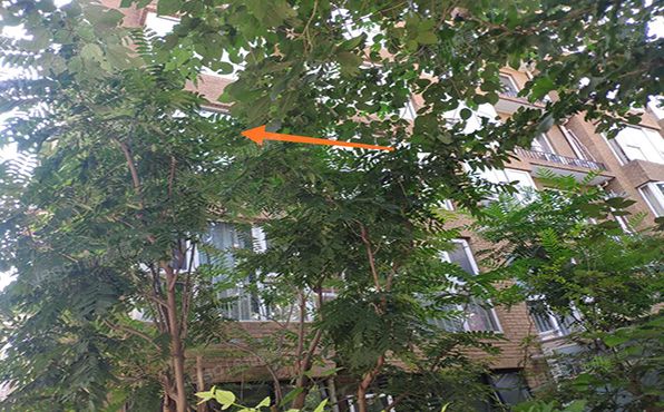 海淀区 五路居裕泽园1、2号楼及地下车库2号楼3层1单元301号（绿波漫板裕泽园）