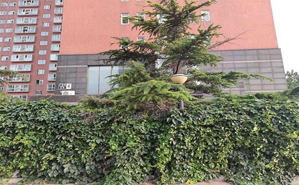 朝阳区   广渠路21号4号楼1层01层-02（金海国际） 商业