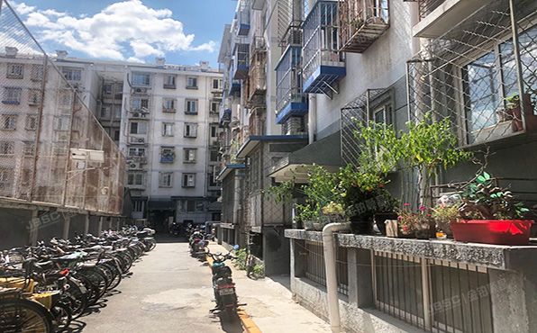 东城区   竹杆胡同8号楼5层1单元503号（朝内小区）