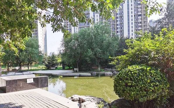 朝阳区  望京东园626号楼21层2单元2101室（国风上观）