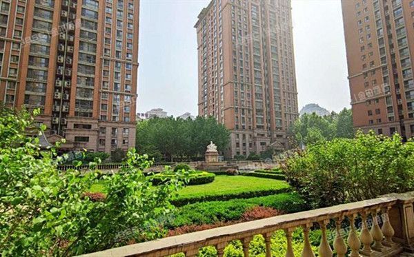 朝阳区 科荟路8号1号楼3层305（荣尊堡）