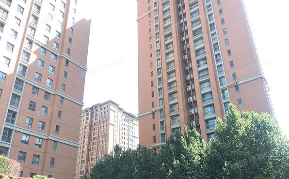 朝阳区 科荟路8号1号楼3层305（荣尊堡）