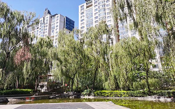 朝阳区   百子湾南2路74号院4号楼19层1单元2202号（乐成公馆 ）